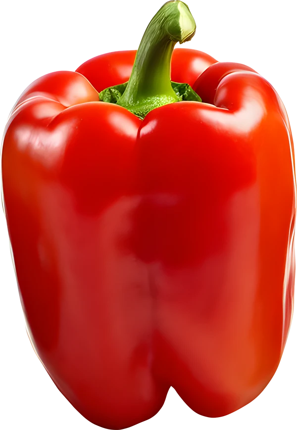 Prepared meals made with quality ingredients by Kwick & Fresh